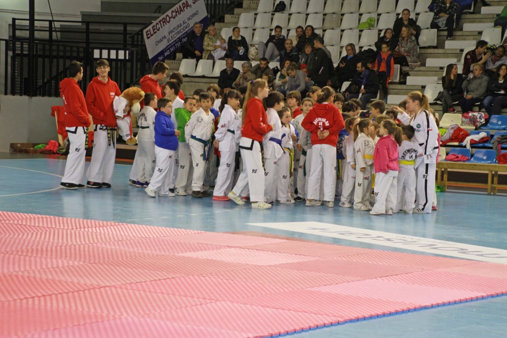 Taekwondo Dic 2016 (221).jpg